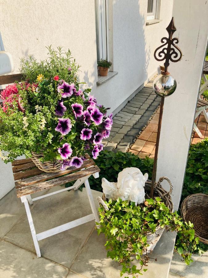 Das Ferienhaus-Zurueck Zum Ursprung Güssing Extérieur photo